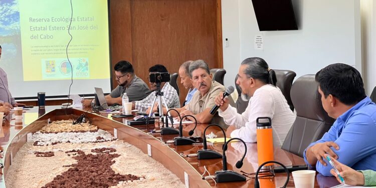 Requiere el Estero Josefino estrategias que ayuden a su recuperación y  mantenimiento, para ello es indispensable el trabajo conjunto de los tres órdenes de Gobierno así como de la sociedad civil, ya que es un área vital para el medio ambiente