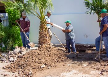 Atiende OOMSPAS La Paz 177 fugas del 24 al 30 de julio.