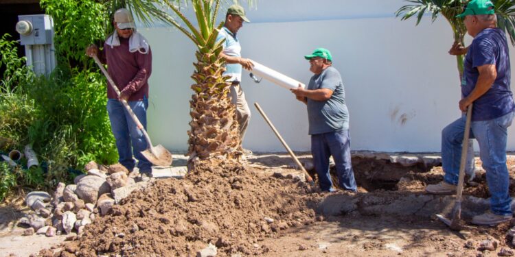 Atiende OOMSPAS La Paz 177 fugas del 24 al 30 de julio.