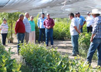 RECONOCE GOBERNADOR VCC, ALTA PRODUCTIVIDAD DEL CEPROVEG