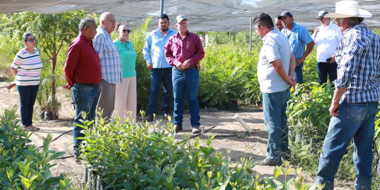 RECONOCE GOBERNADOR VCC, ALTA PRODUCTIVIDAD DEL CEPROVEG