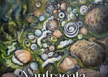 GALERÍA DE ARTE CARLOS OLACHEA INVITA A LA EXPOSICIÓN “NAUFRAGATA”