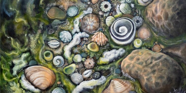 GALERÍA DE ARTE CARLOS OLACHEA INVITA A LA EXPOSICIÓN “NAUFRAGATA”