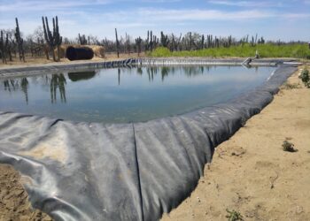 TRABAJA SEPADA PARA CONSERVAR EL AGUA Y EL ESTATUS SANITARIO EN EL ESTADO