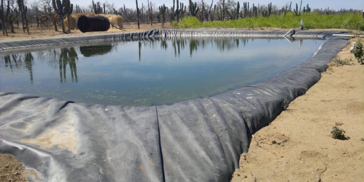 TRABAJA SEPADA PARA CONSERVAR EL AGUA Y EL ESTATUS SANITARIO EN EL ESTADO