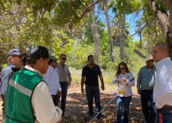 AVALAN PLAN EMERGENTE CONTRA LA MOSCA DE LA FRUTA