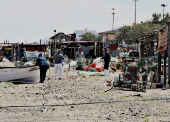 APERTURAN PROGRAMA DE SEGURO DE VIDA A PESCADORES Y ACUACULTORES
