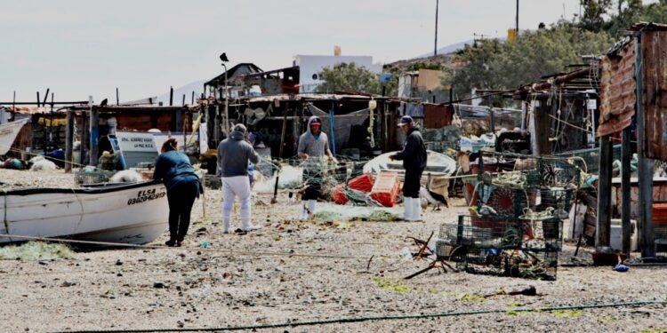 APERTURAN PROGRAMA DE SEGURO DE VIDA A PESCADORES Y ACUACULTORES