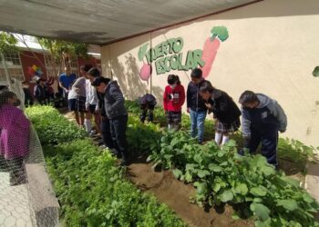 SELECCIONAN A ESCUELAS QUE PARTICIPARÁN CON HUERTOS ESCOLARES: SEPUIMM