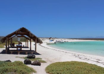VACACIONES REPRESENTARÁN PARA BCS RECIBIR MÁS DE 350 MIL TURISTAS CON DERRAMA ECONÓMICA SUPERIOR A 92 MDD&nbsp;