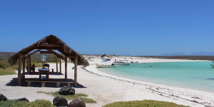 VACACIONES REPRESENTARÁN PARA BCS RECIBIR MÁS DE 350 MIL TURISTAS CON DERRAMA ECONÓMICA SUPERIOR A 92 MDD&nbsp;