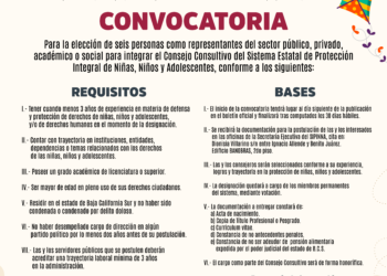 CONVOCA SIPINNA A FORMAR PARTE DEL CONSEJO CONSULTIVO&nbsp;