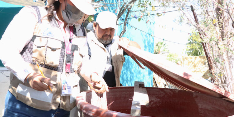 BRIGADAS DE SALUD ESTATAL REALIZAN ACCIONES DE CONTROL LARVARIO EN SANTA ROSALÍA