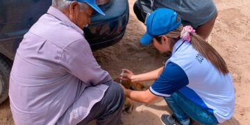 REFUERZAN OPERATIVO CONTRA LA RICKETTSIA EN VIZCAÍNO