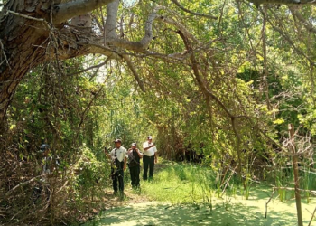 Se lleva a cabo operativos en la zona del Estero en San José del Cabo.