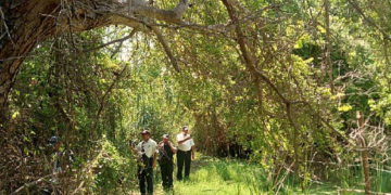 Se lleva a cabo operativos en la zona del Estero en San José del Cabo.