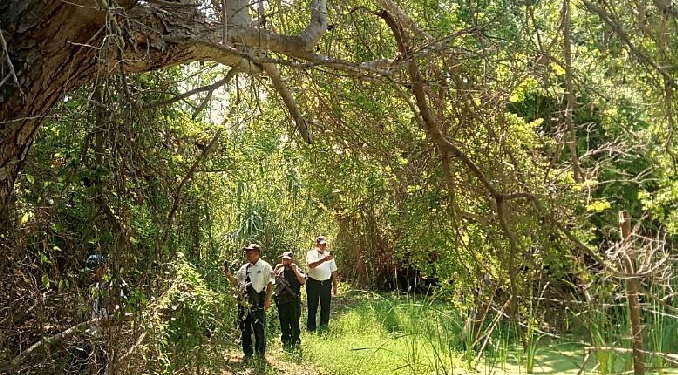 Se lleva a cabo operativos en la zona del Estero en San José del Cabo.