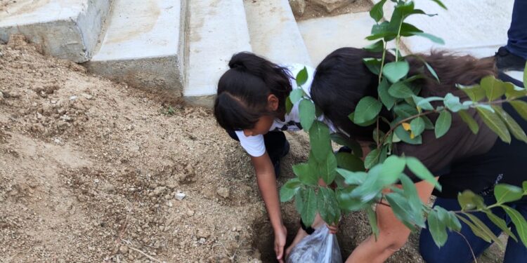 Se llevaron a cabo acciones de reforestación en la Escuela Municipal de Música Profesora Concepción Olachea Montejano