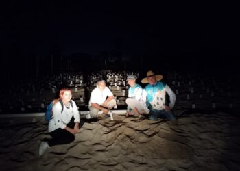 Personas integrantes y voluntarias del Programa Municipal de Protección a la Tortuga Marina, encabezadas por el biólogo Gabriel Olvera Guevara, atendieron un número importante de reportes por anidación