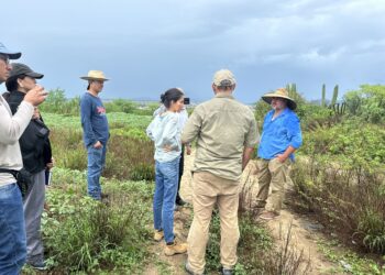 El equipo del Organismo Operador Municipal del Sistema de Agua Potable, Alcantarillado y Saneamiento de Los Cabos que dirige Ismael Rodríguez Piña continúa avanzando en la construcción de la nueva planta desaladora en Cabo San Lucas