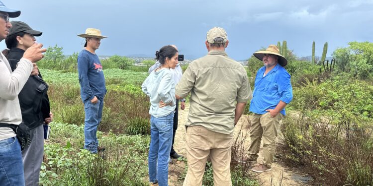 El equipo del Organismo Operador Municipal del Sistema de Agua Potable, Alcantarillado y Saneamiento de Los Cabos que dirige Ismael Rodríguez Piña continúa avanzando en la construcción de la nueva planta desaladora en Cabo San Lucas
