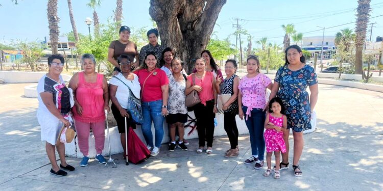 Iniciará el programa El Mercado en el Jardín