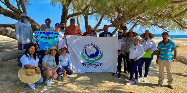 Día Internacional del Tiburón Ballena