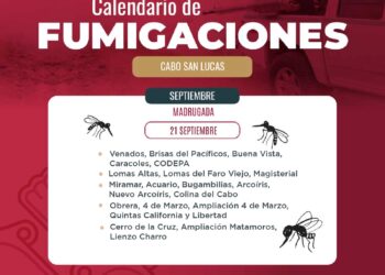 Oscar Leggs Castro a través de la Dirección Municipal de Salud invita a la población a participar conjuntamente en las campañas de fumigación que estarán activas toda esta semana en diferentes colonias de Cabo San Lucas.
