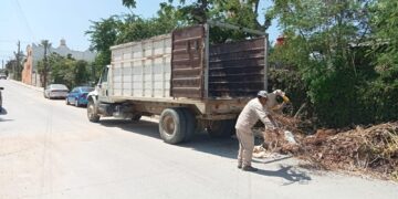 Se continúa con las diversas actividades de limpieza