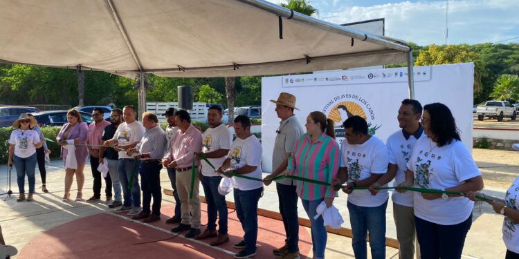 Los Cabos, B.C.S., 11 de septiembre 2023.- Este sábado, se realizó con éxito el “Primer Festival del Pájaro Chubasquero”, impulsado por el Gobierno de Los Cabos a través de la iniciativa del Comisariado Ejidal de Caduaño perteneciente a la delegación de Miraflores, en coordinación con la Universidad Autónoma de Baja California Sur.