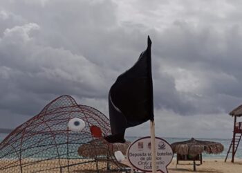 Se exhorta a la ciudadanía a respetar la restricción de ingreso a los citados espacios, así como acatar las recomendaciones del personal guardavidas de Zofemat Los Cabos