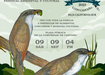Oscar Leggs Castro, invita a la población a disfrutar del Festival de Aves de Los Cabos que se desarrollará este sábado 09 de septiembre