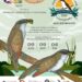 Oscar Leggs Castro, invita a la población a disfrutar del Festival de Aves de Los Cabos que se desarrollará este sábado 09 de septiembre