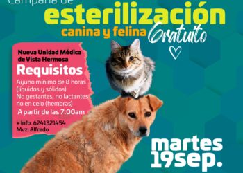 Como parte de la campaña de esterilización canina y felina que implementa el Gobierno de Los Cabos a través de la Dirección Municipal de Salud para beneficio de la salud pública que implica la sobrepoblación de perros y gatos en las calles