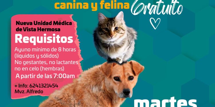 Como parte de la campaña de esterilización canina y felina que implementa el Gobierno de Los Cabos a través de la Dirección Municipal de Salud para beneficio de la salud pública que implica la sobrepoblación de perros y gatos en las calles