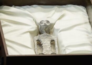 Jaime Maussan hace descubrimiento de Cuerpos Momificados No Identificados en la Cámara de Diputados