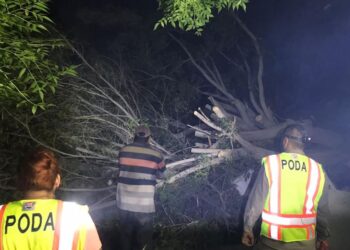 Generadas más de 13 toneladas de material orgánico con el programa “Manos a la Tierra”