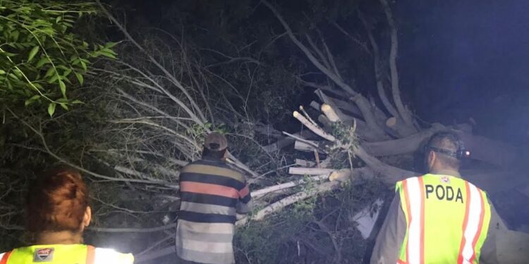 Generadas más de 13 toneladas de material orgánico con el programa “Manos a la Tierra”