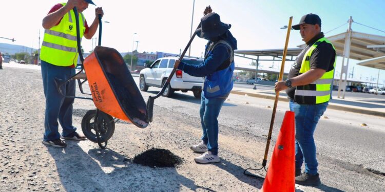 Continúan los trabajos de limpieza masiva en la ciudad