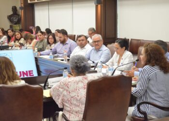 Se legislará para que BCS cuente con Procuradurías en cada municipio y poner fin a todo tipo de violencia contra la niñez y juventud sudcaliforniana: Dip. Gabriela Cisneros Ruiz&nbsp;