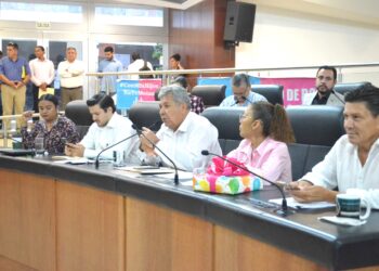 Aprueban modificaciones al decreto de la Medalla Rosaura Zapara para docentes