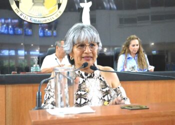 Propone Diputada María Luisa Trejo adiciones a la Ley de los Derechos de Adultos Mayores para proteger sus patrimonios