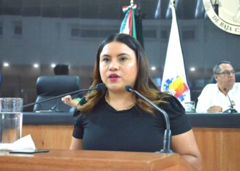 Propone diputada Guadalupe Vázquez incorporar la diversidad sexual y la participación política en la Medalla al Mérito Estatal de La Juventud