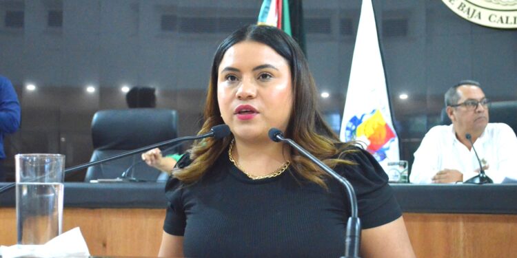 Propone diputada Guadalupe Vázquez incorporar la diversidad sexual y la participación política en la Medalla al Mérito Estatal de La Juventud