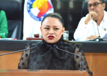 Pide la diputada Paz Ochoa la creación de la Jurisdicción Sanitaria 5 para Loreto