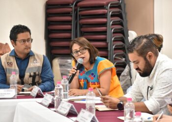 Celebra diputada Teresita Valentín obras de electrificación en comunidades muleginas