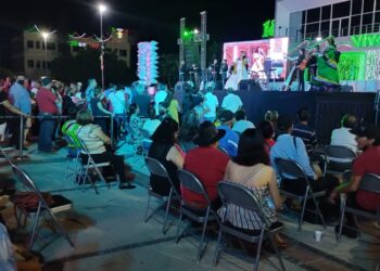 CONTARÁN PERSONAS CON DISCAPACIDAD, CON ESPACIOS EN FESTEJOS PATRIOS