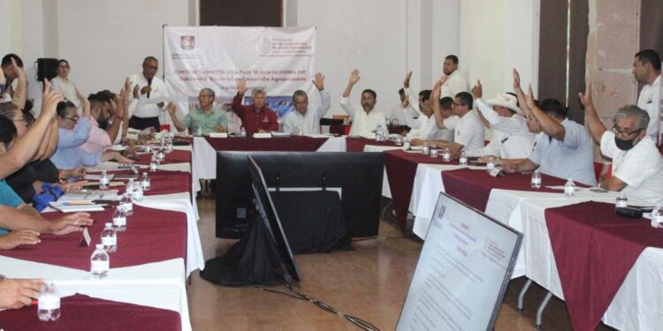 AVANZA LA TRANSFORMACIÓN DEL CAMPO A FAVOR DE LOS PEQUEÑOS PRODUCTORES