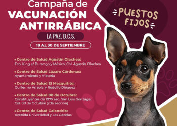 EMPRENDERÁ SECRETARÍA DE SALUD CAMPAÑA DE VACUNACIÓN ANTIRRÁBICA CANINA Y FELINA&nbsp;