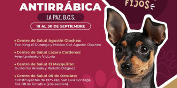 EMPRENDERÁ SECRETARÍA DE SALUD CAMPAÑA DE VACUNACIÓN ANTIRRÁBICA CANINA Y FELINA&nbsp;